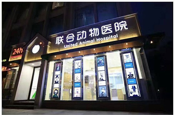 宠物医院门面灯