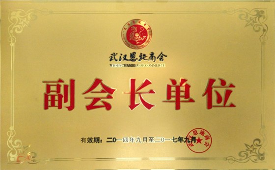 湖北恩施商会副会长单位