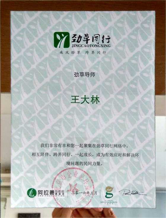 劲草同行劲草导师证书