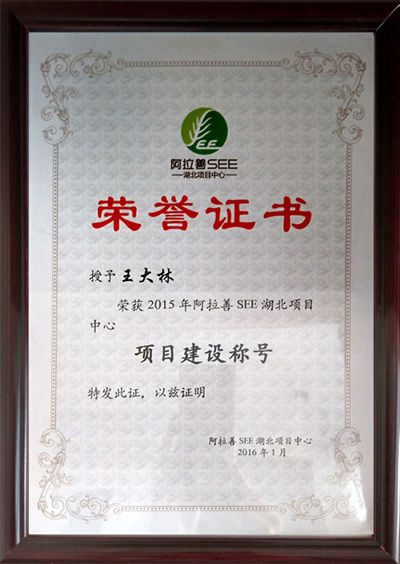 阿拉善荣誉证书