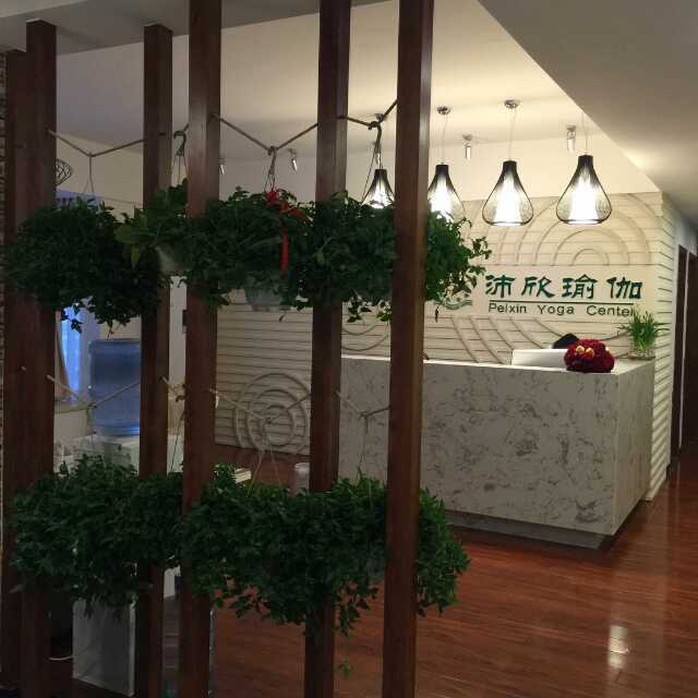 从花园看接待台