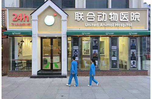宠物医院室内设计-武昌君临天下联合动物医院